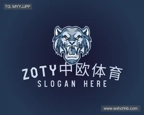介绍zoty中欧