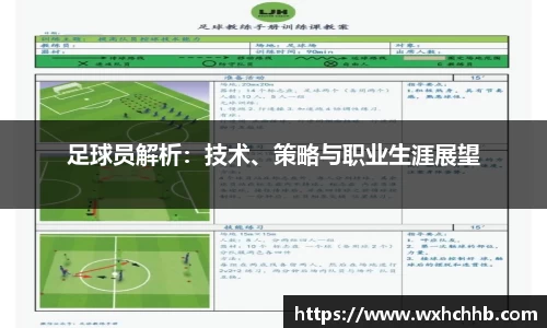 足球员解析：技术、策略与职业生涯展望
